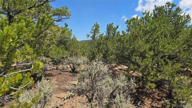 Lot 1615 Dunn Road, San Luis, CO 81152