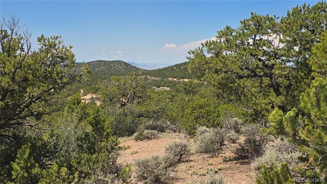 Lot 1615 Dunn Road, San Luis, CO 81152