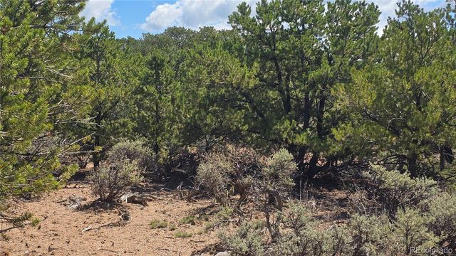 Lot 1615 Dunn Road, San Luis, CO 81152