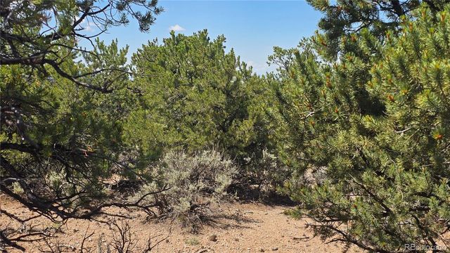 Lot 1615 Dunn Road, San Luis, CO 81152