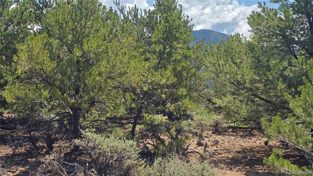 Lot 1615 Dunn Road, San Luis, CO 81152
