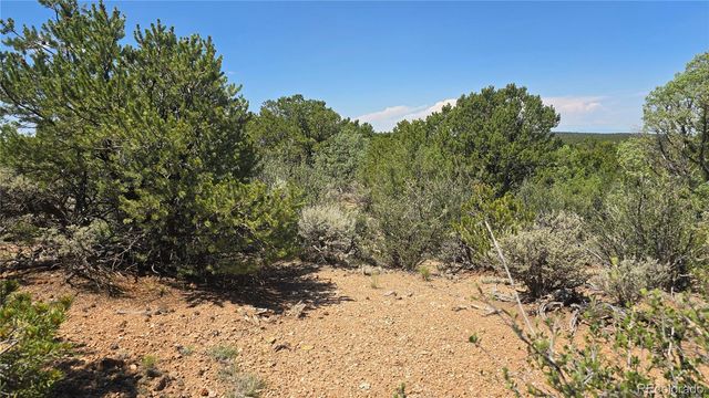 Lot 1615 Dunn Road, San Luis, CO 81152