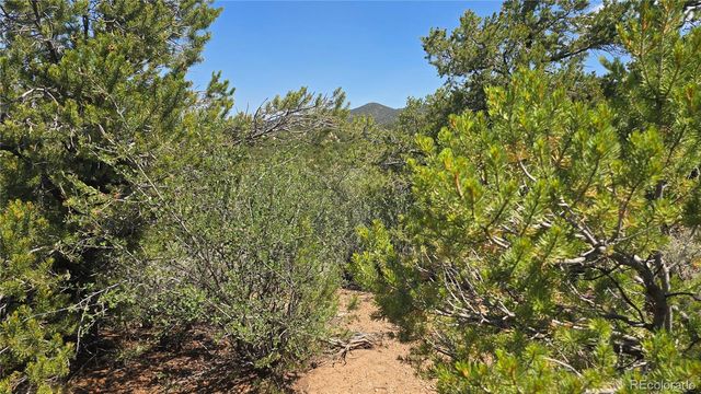Lot 1615 Dunn Road, San Luis, CO 81152