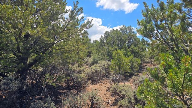 Lot 1615 Dunn Road, San Luis, CO 81152