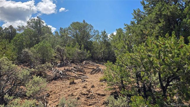Lot 1615 Dunn Road, San Luis, CO 81152