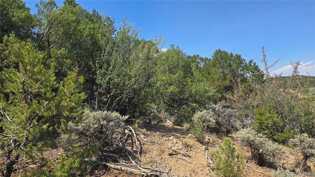 Lot 1615 Dunn Road, San Luis, CO 81152