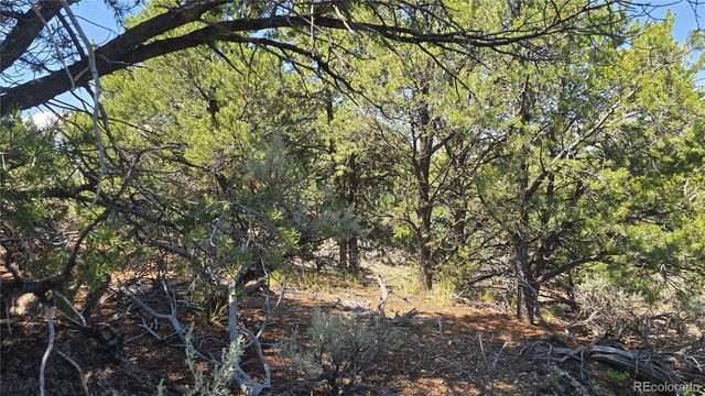 Lot 1615 Dunn Road, San Luis, CO 81152