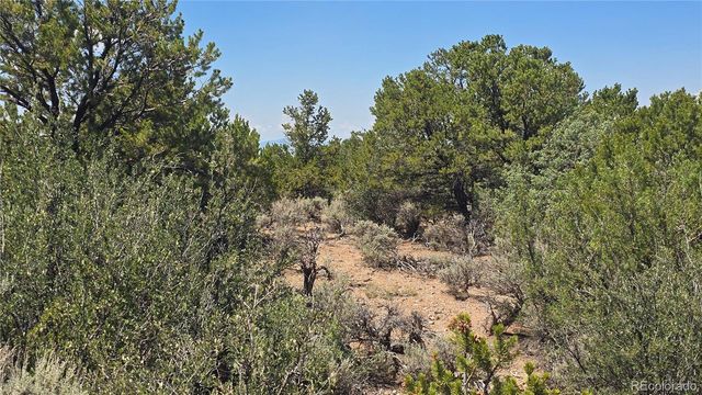 Lot 1615 Dunn Road, San Luis, CO 81152