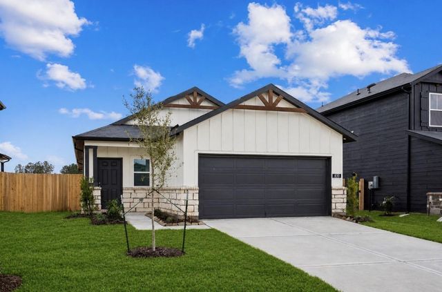 830 High Mesa Lane, Montgomery, TX 77356