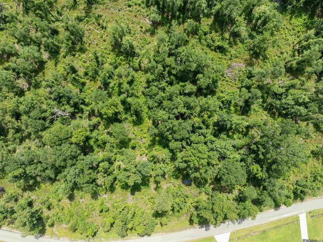Lot 2-C Lost Oak Ln, Livingston, LA 70754