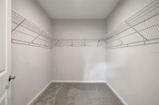 10209 AGAVE COURT, Land O Lakes, FL 34638