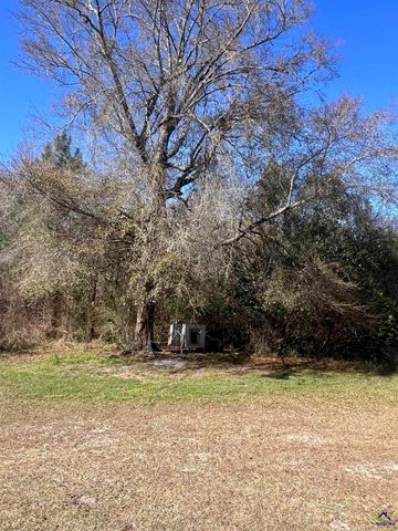 141 Shady Oaks Road, Eastman, GA 31023