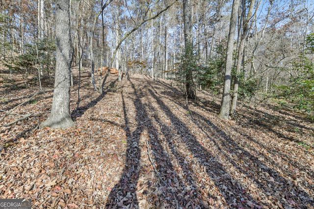 29 Pigeon Creek Drive, Dawsonville, GA 30534