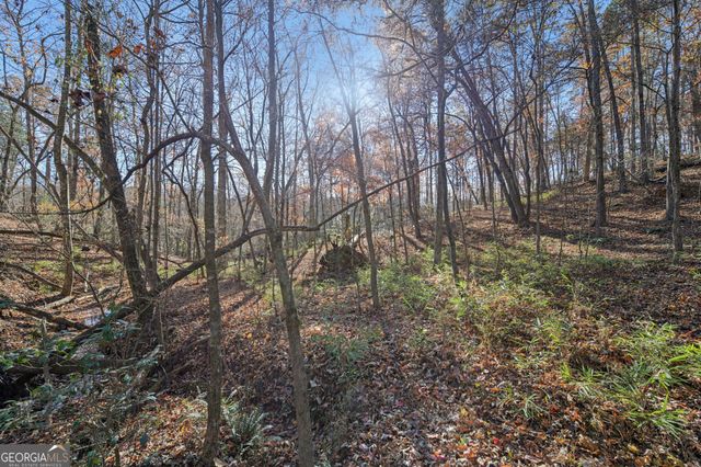 29 Pigeon Creek Drive, Dawsonville, GA 30534