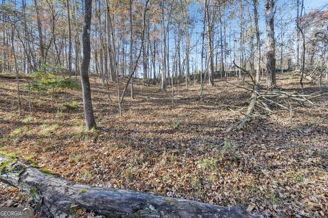 29 Pigeon Creek Drive, Dawsonville, GA 30534