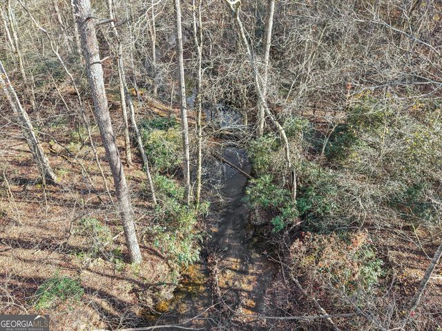 29 Pigeon Creek Drive, Dawsonville, GA 30534