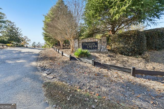 29 Pigeon Creek Drive, Dawsonville, GA 30534