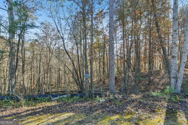 29 Pigeon Creek Drive, Dawsonville, GA 30534