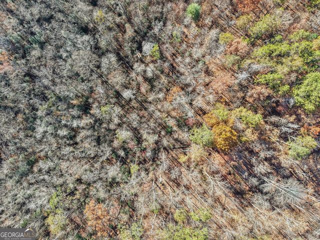 29 Pigeon Creek Drive, Dawsonville, GA 30534