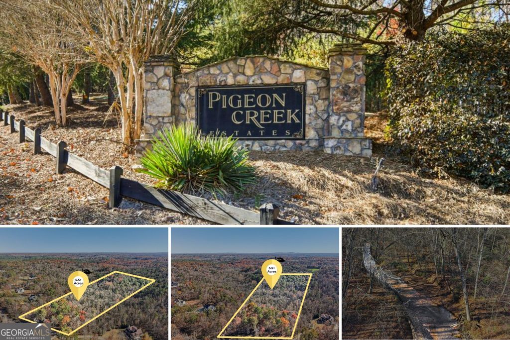 29 Pigeon Creek Drive, Dawsonville, GA 30534