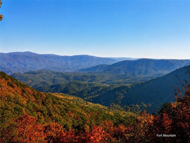 133 Muller Lane, Ellijay, GA 30540