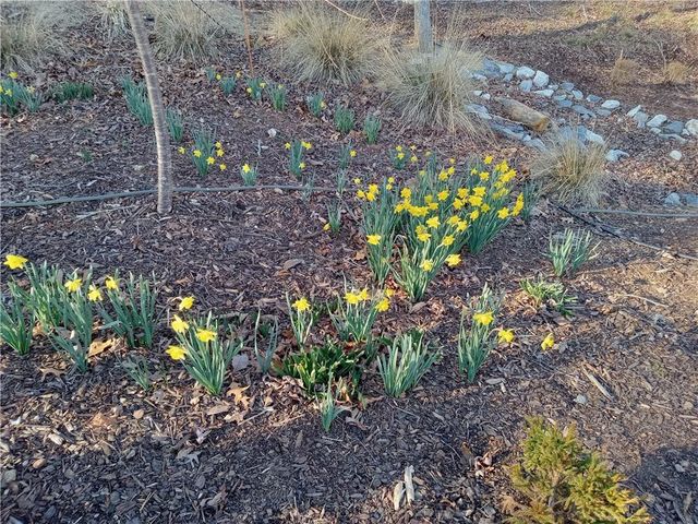 110 Planters Knoll, Baldwin, GA 30511