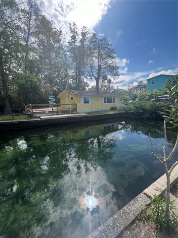 7222 TROPICAL DRIVE, Weeki Wachee, FL 34607