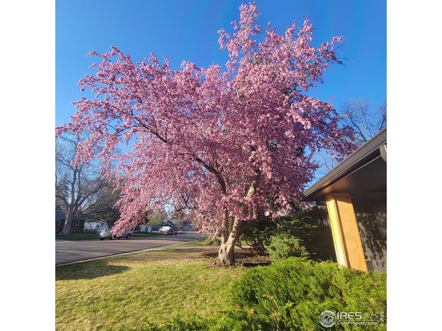 1308 Robertson St, Fort Collins, CO 80524