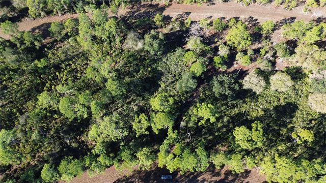 CODY CIRCLE, North Port, FL 34291