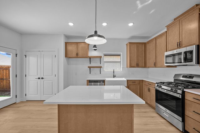 1229 Eagle Mountain Drive, Dallas, TX 75253