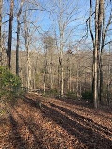 166 N Laceola Road, Cleveland, GA 30528