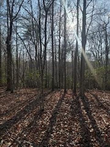 166 N Laceola Road, Cleveland, GA 30528