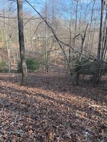 166 N Laceola Road, Cleveland, GA 30528