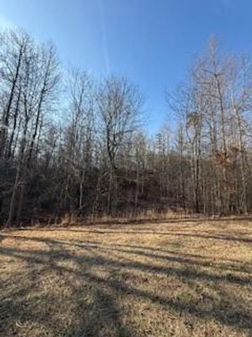 166 N Laceola Road, Cleveland, GA 30528