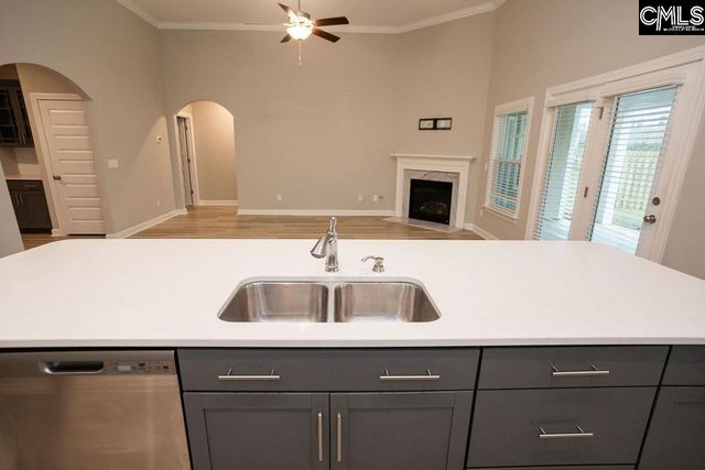 791 Ruskin Drive, Chapin, SC 29036