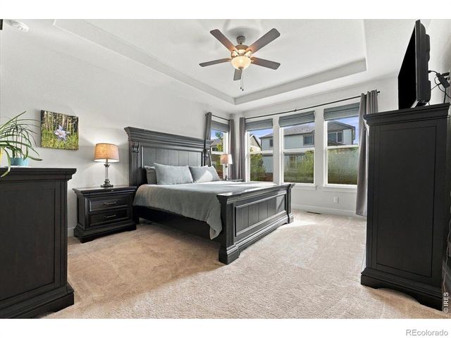 1962 Raindrop Drive, Windsor, CO 80550