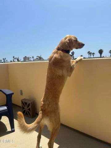 5442 Driftwood Street, Oxnard, CA 93035