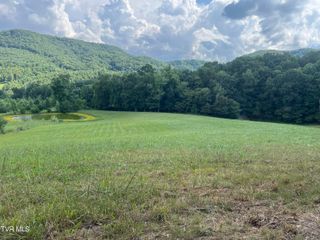 11/Ac Tbd Houston Valley Road, Greeneville, TN 37743