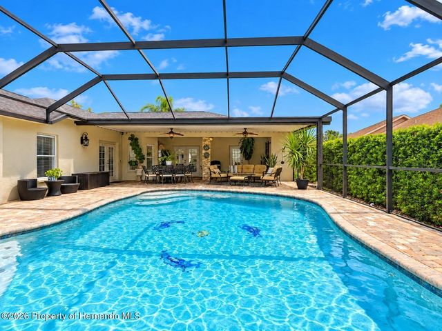 13396 Twinberry Drive, Spring Hill, FL 34609