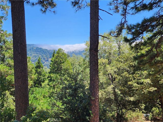 315 Weisshorn Drive, Crestline, CA 92325