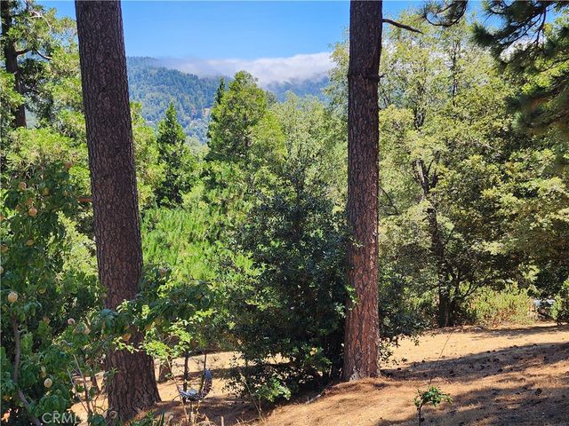 315 Weisshorn Drive, Crestline, CA 92325