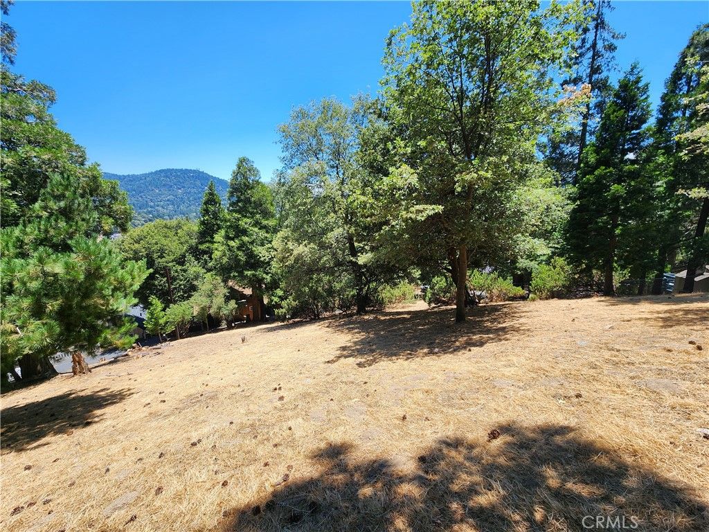 Image 11 of property listing at 315 Weisshorn Drive, Crestline, CA 92325