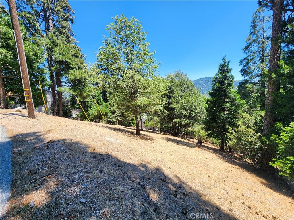 Image 14 of property listing at 315 Weisshorn Drive, Crestline, CA 92325