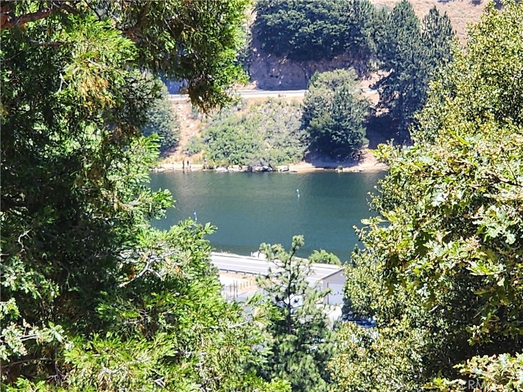 Image 17 of property listing at 315 Weisshorn Drive, Crestline, CA 92325