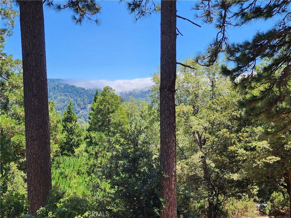 Image 18 of property listing at 315 Weisshorn Drive, Crestline, CA 92325