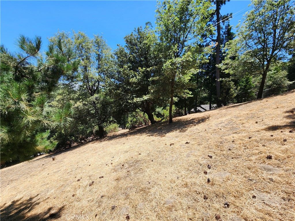 Image 8 of property listing at 315 Weisshorn Drive, Crestline, CA 92325