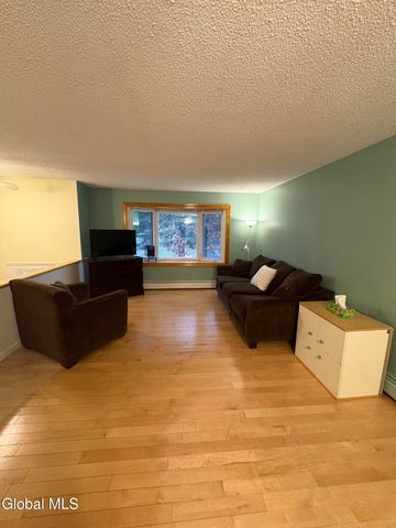 115 Plum Poppy North, Malta, NY 12020