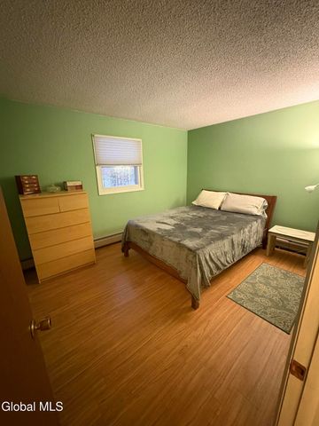 115 Plum Poppy North, Malta, NY 12020