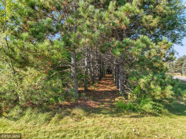 13037 314th Avenue NW, Baldwin Twp, MN 55371