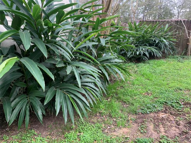 22720 Hudson Lane NE, New Caney, TX 77357